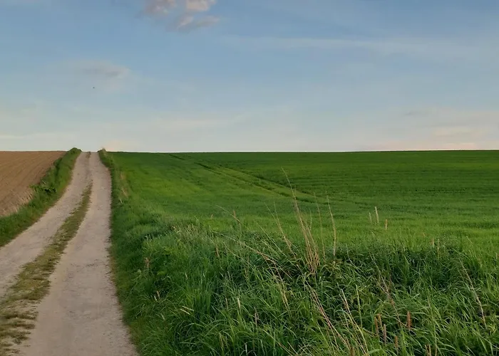 בית חווה Bierna. Gospodarstwo Rolne.